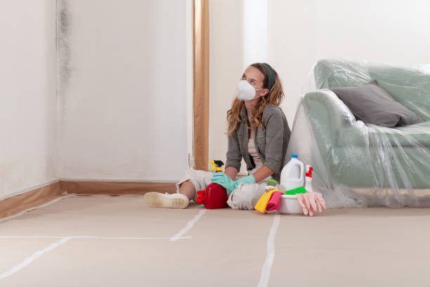 Reliable Mold Cleanup contractor in Magnolia, NJ by WQB Mold Removal